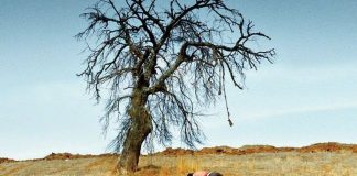 Ahlat Ağacı’ndaki Türkiye