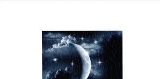 Edebiyatta Türk’ün Düşüncesi