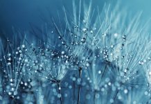 Barbie İdeolojisi’ne, Mükemmellik Tutkusuna Karşı Kusurlu Varoluş