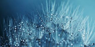 Barbie İdeolojisi’ne, Mükemmellik Tutkusuna Karşı Kusurlu Varoluş