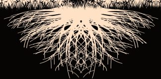 Milli-Yerliliğin Z Raporu